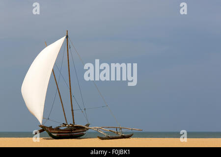 Un oruwa - outrigger tradizionali dello Sri Lanka pescatori - con le sue bianche vele ondeggianti sotto un cielo blu, si trova sulla spiaggia di Negombo Foto Stock