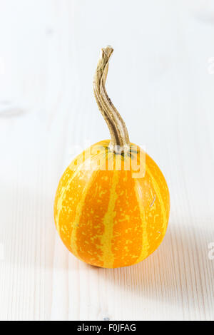 Mini zucche Foto Stock