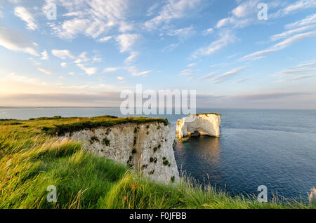 Old Harry Rocks, ripide scogliere di gesso e pile di mare vicino a Swanage su Dorset la Jurassic Coast Foto Stock