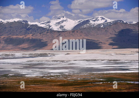 India Jammu Kashmir Ladakh Tso Kar salt lake Foto Stock