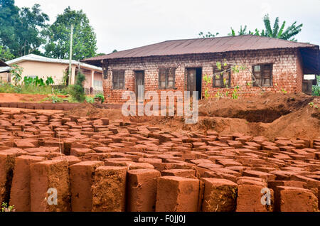 Mattoni di fango essiccazione per costruire case in Camerun Foto Stock