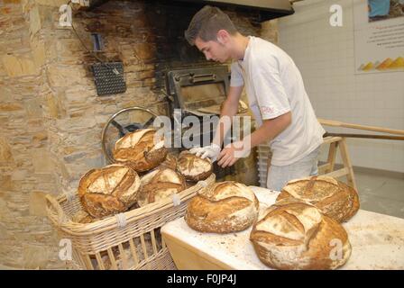 Il negozio Eataly a Torino (Piemonte, Italia), che fa parte della catena internazionale per la distribuzione italiana di qualità alimentare Foto Stock