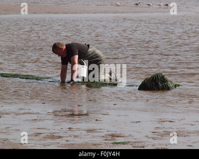 Newcastle Upon Tyne, 17 agosto 2015, UK Meteo. Il bel tempo con la bassa marea sul Tyne esponendo le righe di pneumatici cattura di crostacei solo per essere raccolte dai pescatori di esca. Foto Stock