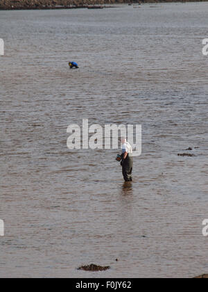 Newcastle Upon Tyne, 17 agosto 2015, Uk Meteo. Il bel tempo con la bassa marea sul Tyne esponendo le righe di pneumatici cattura di crostacei solo per essere raccolte dai pescatori di esca. Foto Stock