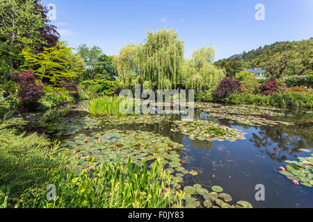 Il laghetto di ninfee a Giverny, il giardino del francese pittore impressionista Claude Monet, Normandia, Francia settentrionale Foto Stock