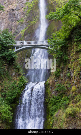 Una passerella archi su cascate Multnomah, una delle più alte cascate negli Stati Uniti, vicino a Portland, Oregon Foto Stock