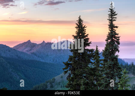 Guardando a Nord da Hurricane Ridge su Unicorn picco verso i foggy stretto di Juan de Fuca e Vancouver è. in Olympic N.P. Foto Stock