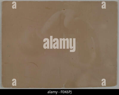 Una fotografia di Marjatta Gall, scattata su una spiaggia intorno al 1893, che mostra le prime tecniche fotografiche e lo stile. La stampa mette in risalto la moda e le ambientazioni sociali della fine del XIX secolo. Foto Stock