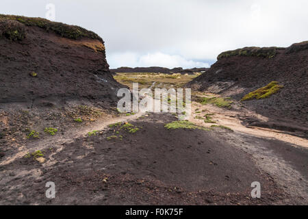 Erosi torbiera moor. Un burrone e hags formata da erosione della brughiera sull Kinder Scout, Derbyshire, Peak District, England, Regno Unito Foto Stock