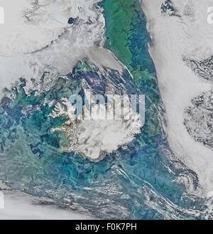 Il fitoplancton europee e mare di ghiaccio limn il flusso turbolento campo intorno in Islanda in questo Suomi-NPP/VIIRS scena Foto Stock