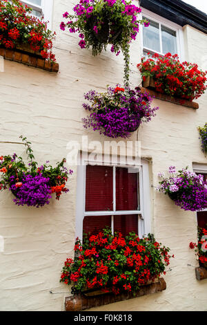 Fiori colorati in cestelli appesi a un pub in Cornovaglia Foto Stock