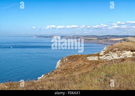 La costa del Dorset visto da St testa Aldhelms Foto Stock