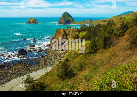 Oregon rocciosa costa del pacifico paesaggio soleggiato. Oregon, Stati Uniti. Foto Stock