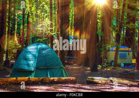 Tende da campeggio nel Parco Nazionale di Redwood in California, Stati Uniti. Forest Camping. Foto Stock