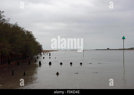 Alta Marea fiume Deben Bawdsey Ferry Suffolk REGNO UNITO Foto Stock