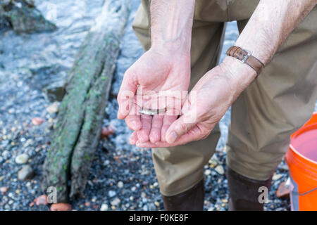 Naturalisti da NYS Dipartimento di Conservazione Ambientale e di visualizzazione spiegare circa i campioni di pesci raccolti presso il Ponte di Brooklyn Park sito durante il Grande Fiume Hudson estuario del conteggio di pesce il Sabato, 15 agosto 2015. L estuario è la casa per oltre 200 specie e tutto da silversides a striped bass di aringhe e un assortimento di granchi sono stati raccolti. I naturalisti contare le diverse specie e offrire una spiegazione al visualizzatore interessati prima di restituire il pesce per la loro casa. (© Richard B. Levine) Foto Stock