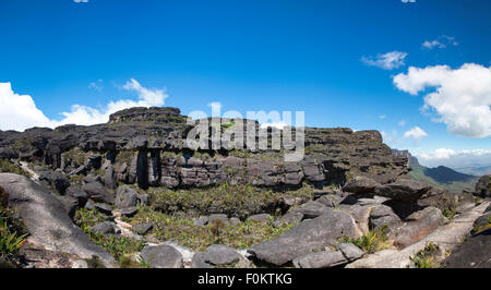 Panorama dalla cima del Roraima Tepui con cielo blu - Table Mountain - triplice frontiera, Venezuela, Guyana, Brasile Foto Stock