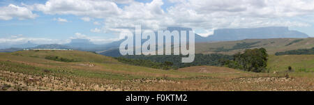 Panorama del paesaggio dal Gran Sabana. Il bianco delle nuvole in cielo blu sulla table-top montagne chiamato Tepui. Il monte Roraima, Venezuela Foto Stock