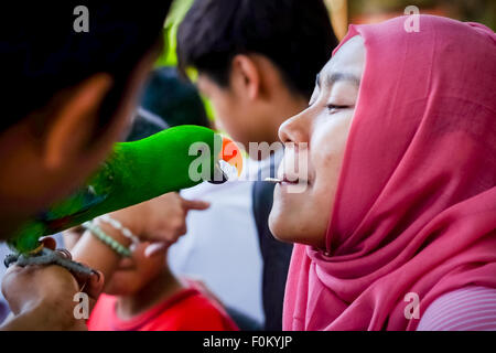 Donna asiatica gioca con parrot. Foto Stock