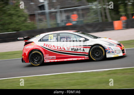 Matt Neal alla Druids nel suo Yuasa Honda Racing Civic Type R Oulton Park BTCC Foto Stock