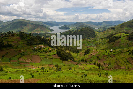 Affacciato sul lago Bunyonyi e, Uganda, Africa Foto Stock