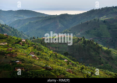 Le montagne del Ruanda occidentale e Africa Foto Stock