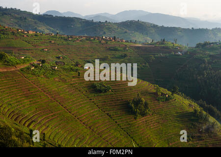 Le montagne del Ruanda occidentale e Africa Foto Stock