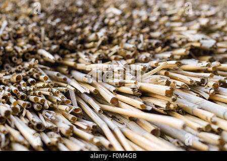 Tradizionali tetti di paglia, rurale di fondo Foto Stock