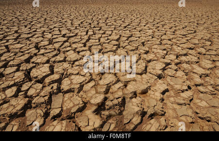 Macro shot di essiccato fino in terra in un deserto Foto Stock