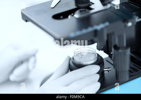 Stretta di mano con microscopio e campione di polvere Foto Stock