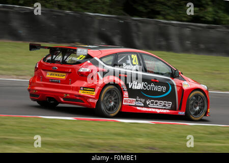 Mike Bushell presso i druidi in Team AmDtuning.com Oulton Park BTCC Foto Stock