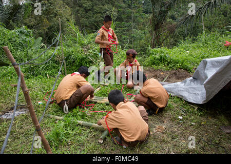 Balinese campo scout Foto Stock