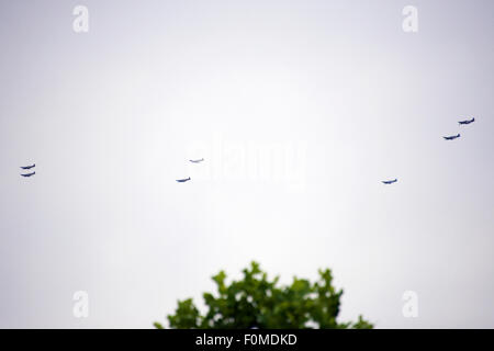 Reigate, Surrey, Regno Unito. Il 18 agosto, 2015. Battaglia di Bretagna volare oltre. Sette Spitfire aeromobile da Grice volo fly ovest sopra gli alberi da Biggin Hill, seguendo l'autostrada M25, su Reigate in Surrey e oltre il Surrey e West Sussex Il Solent, Isle of Wight, Portsmouth e tornare più tardi tramite Dunsfold. Foto: Credito: Lindsay Constable / Alamy Live News Foto Stock