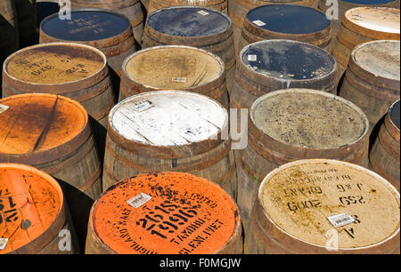 WHISKY o barili di rovere schierate al di fuori a TAMDHU SPEYSIDE DISTILLERY Scozia Scotland Foto Stock