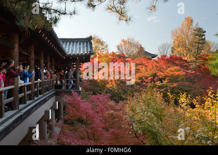 Ponte Tsutenkyo in autunno, Tempio Tofukuji, Kyoto, Giappone, Asia Foto Stock