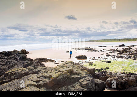 Un ragazzo in piedi su una costa rocciosa a Forvie Sands North Sea Beach vicino a Hackley Bay, a Ellon in Aberdeenshire, Scozia Foto Stock