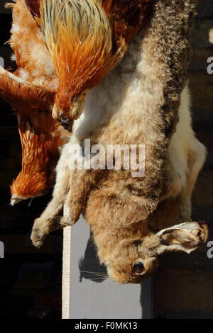 I sostegni di pellicola dal dramma della BBC, il villaggio appendere fuori Hankins grocers in Hayfield, Peak District, DERBYSHIRE REGNO UNITO Inghilterra Foto Stock