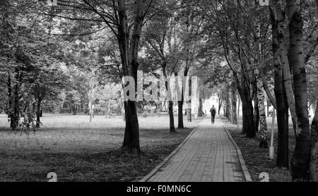 Lone singolo uomo cammina verso il basso una foresta deserta percorso di pietra tra le ombre degli alberi di overhead Foto Stock