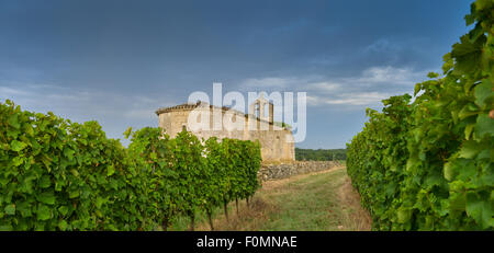 Vigneto e la vecchia chiesa di Sunrise - panorama - Vigna di Bordeaux Foto Stock