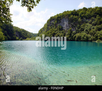 Il Parco Nazionale dei Laghi di Plitvice è il più antico parco nazionale in Europa sud-orientale e il parco nazionale più grande in Croazia. Foto Stock