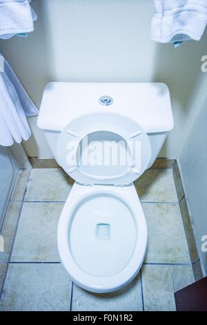 Pulire la tazza igienica in un piccolo bagno foto verticale. Home interni. Foto Stock