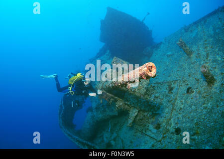 Ottobre 15, 2014 - Egitto, Mar Rosso - Diver guardando anti-aerei pistola sulla poppa del naufragio ''SS Thistlegorm''. Mar Rosso, Egitto, Africa. (Credito Immagine: © Andrey Nekrasov/ZUMA filo/ZUMAPRESS.com) Foto Stock