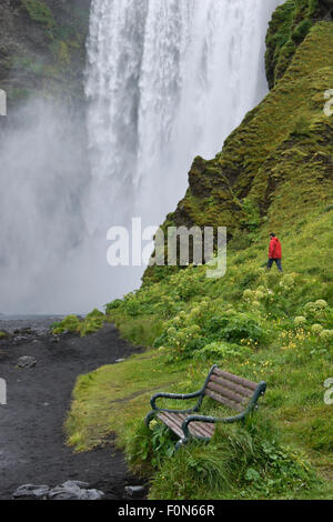 Skogafoss con angelica e panca, sud dell'Islanda Foto Stock