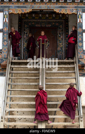 I giovani monaci buddisti giocando al monastero Gangtey Bhutan Foto Stock