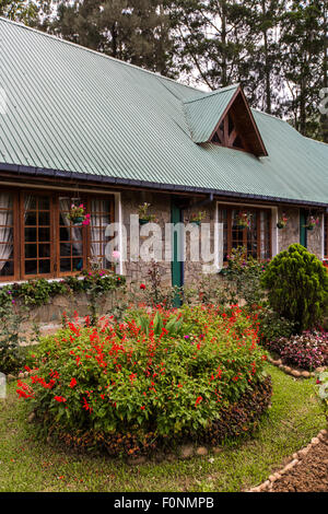 Sri Lanka Mackwoods tea house Foto Stock