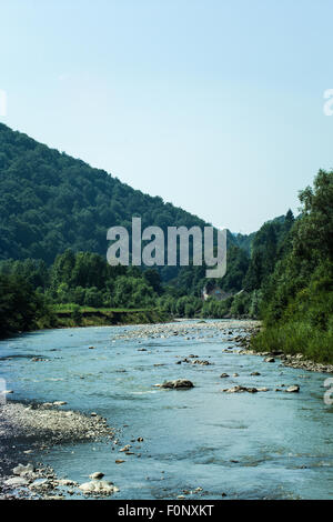 Montagna paesaggio fiume Prut nei Carpazi Foto Stock