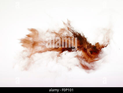 Esplosione di polvere isolata su sfondo bianco. Foto Stock