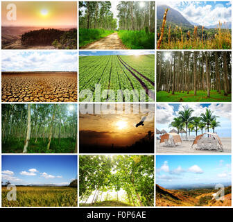 Una collezione di splendidi paesaggi scene insieme in un collage Foto Stock
