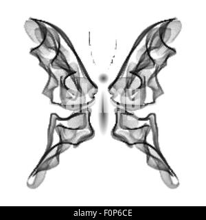 Realistico Smokey Butterfly isolato su bianco Illustrazione Vettoriale
