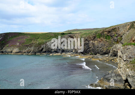 Spiaggia Pwllcrochan Pembrokeshire Coast National Park Galles Cymru REGNO UNITO GB Foto Stock